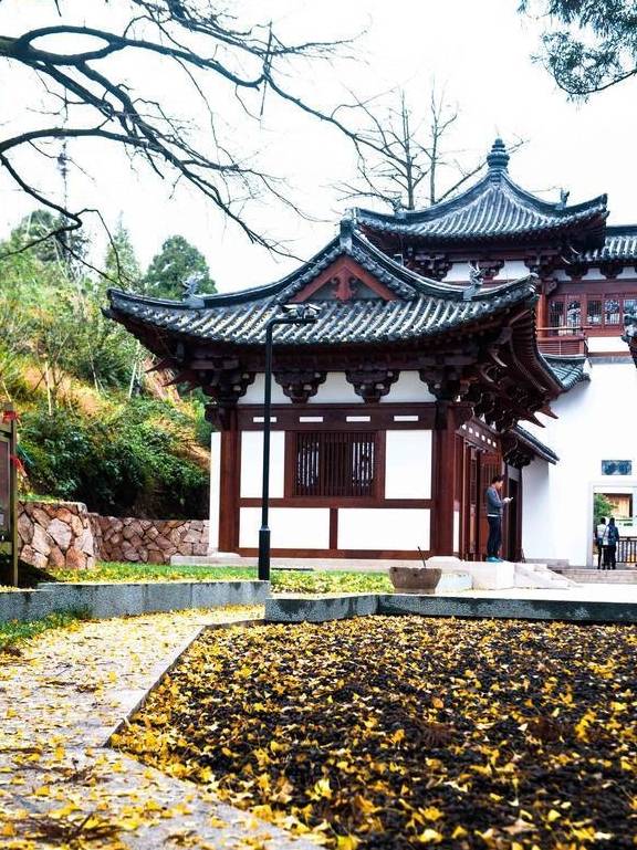 原创 杭州径山寺:绝佳打卡圣地,在此旅行有治愈放松的舒适感,想去吗2