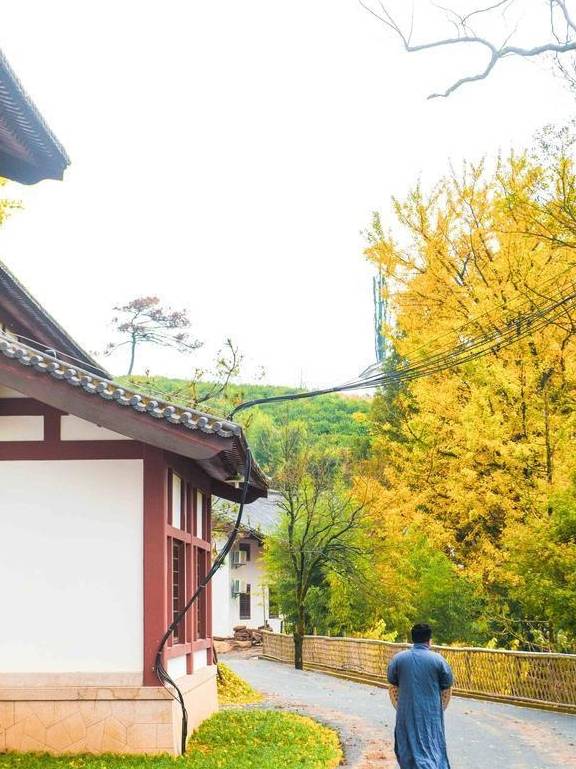 原创 杭州径山寺:绝佳打卡圣地,在此旅行有治愈放松的舒适感,想去吗5