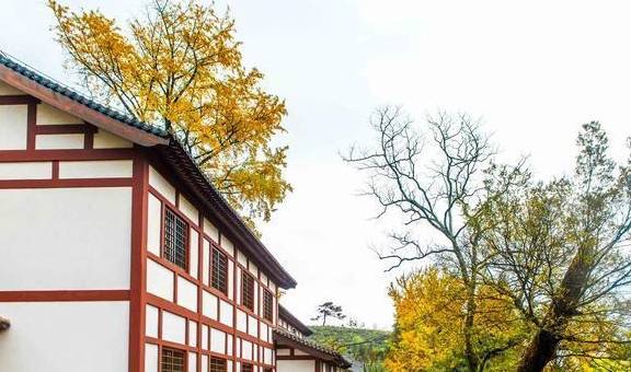 原创 杭州径山寺:绝佳打卡圣地,在此旅行有治愈放松的舒适感,想去吗8