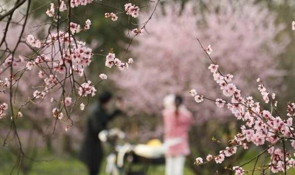 原创 800年之后，西溪再迎“宋高宗”5