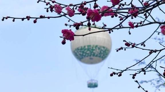 原创 800年之后，西溪再迎“宋高宗”6