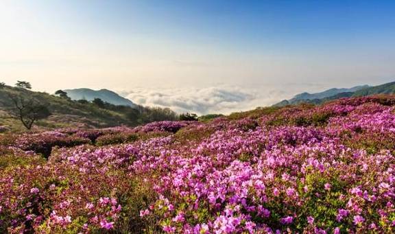 原创 这里是距离天堂最近的“世外桃源”,现在去刚刚好8