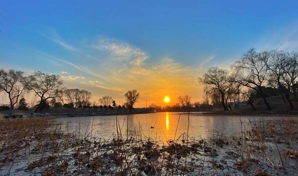 原创 冬季的北京圆明园,安逸清净,充满了荒凉,有人说这样才好看11