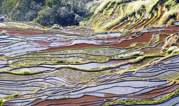 “粉笔崩了”上热搜,巧遇考研出成绩日,网友:都来考公务员了?1