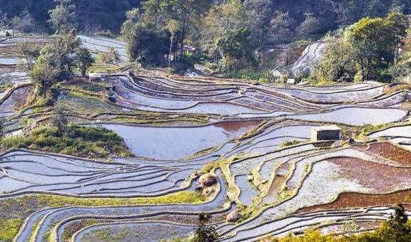 原创 千奇百态的壮美画卷,变幻莫测的大地交响乐,色彩丰富的梯田奇观2