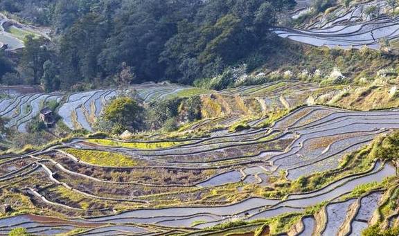 原创 千奇百态的壮美画卷,变幻莫测的大地交响乐,色彩丰富的梯田奇观3