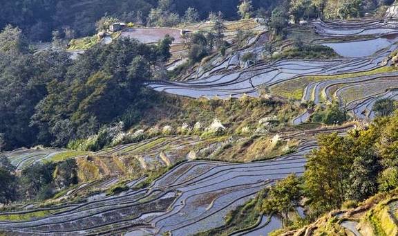 原创 千奇百态的壮美画卷,变幻莫测的大地交响乐,色彩丰富的梯田奇观6