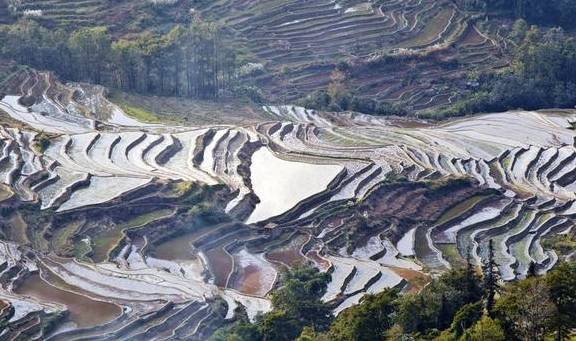 原创 千奇百态的壮美画卷,变幻莫测的大地交响乐,色彩丰富的梯田奇观7