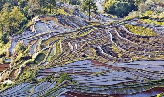 原创 千奇百态的壮美画卷,变幻莫测的大地交响乐,色彩丰富的梯田奇观16