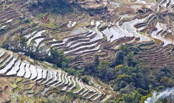 原创 千奇百态的壮美画卷,变幻莫测的大地交响乐,色彩丰富的梯田奇观9