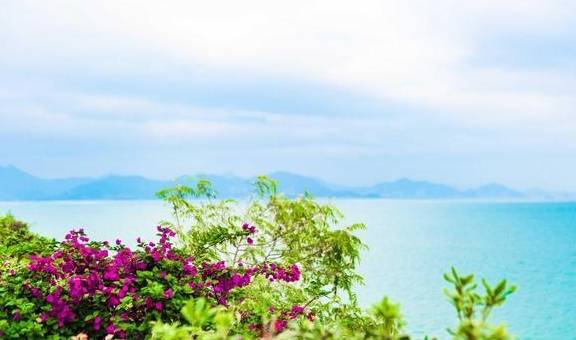 原创 这里才是“广东第一湾”,拥有超宁静的海湾,你准备去打卡吗?1