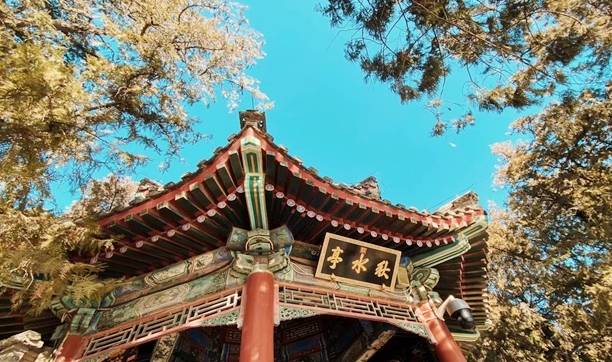 原创 冬日的颐和园，静谧大气，适合拍照，满足了我对冬天的所有想象5