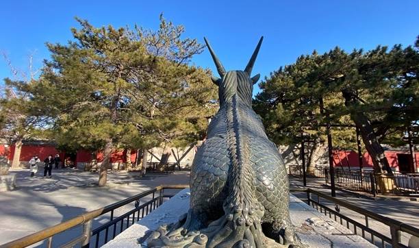 原创 冬日的颐和园，静谧大气，适合拍照，满足了我对冬天的所有想象9