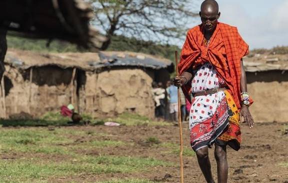 原创 欧洲客人最喜欢的非洲草原,马赛马拉大草原5