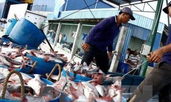 原创 扬言不卖东西给中国人,得偿所愿后,两大特产皆凉的很透彻3