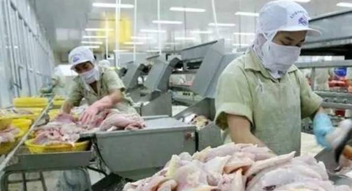 原创 扬言不卖东西给中国人,得偿所愿后,两大特产皆凉的很透彻4