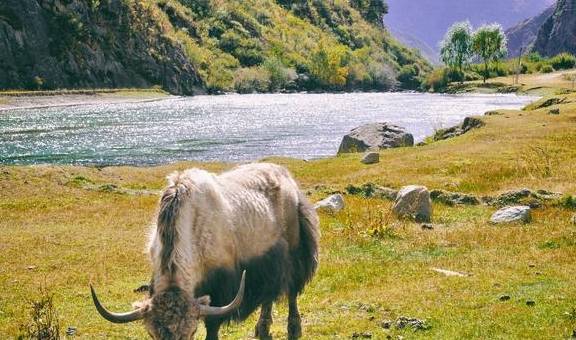 原创 在人迹罕至的雪域腹地，藏着神湖拉姆拉措，传说可以看到前世今生8
