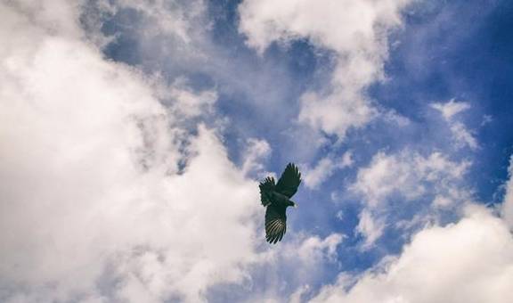 原创 在人迹罕至的雪域腹地，藏着神湖拉姆拉措，传说可以看到前世今生13