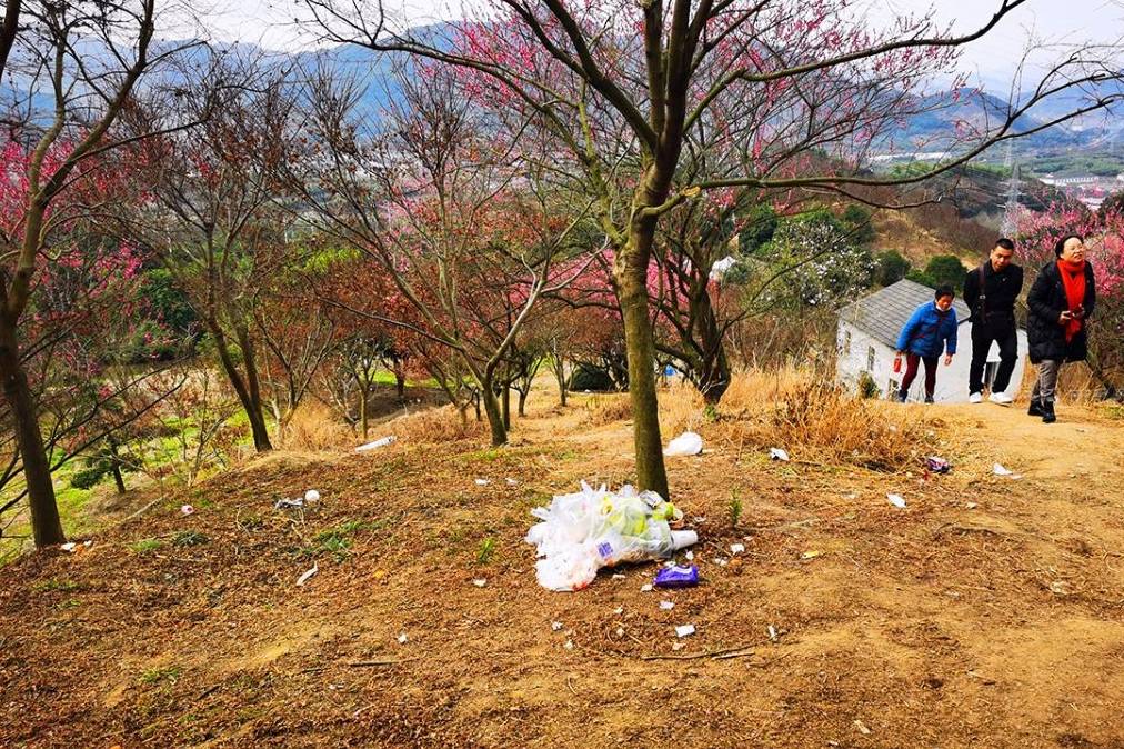 原创 宁波网红赏梅地，美景被垃圾攻陷，文明让风景更美好7