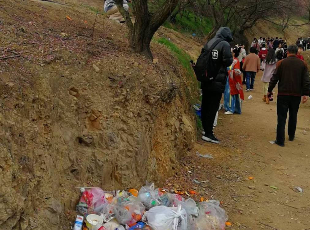 原创 宁波网红赏梅地，美景被垃圾攻陷，文明让风景更美好11
