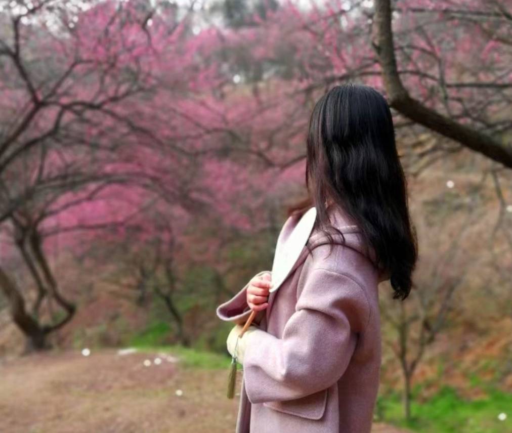 原创 宁波网红赏梅地，美景被垃圾攻陷，文明让风景更美好9