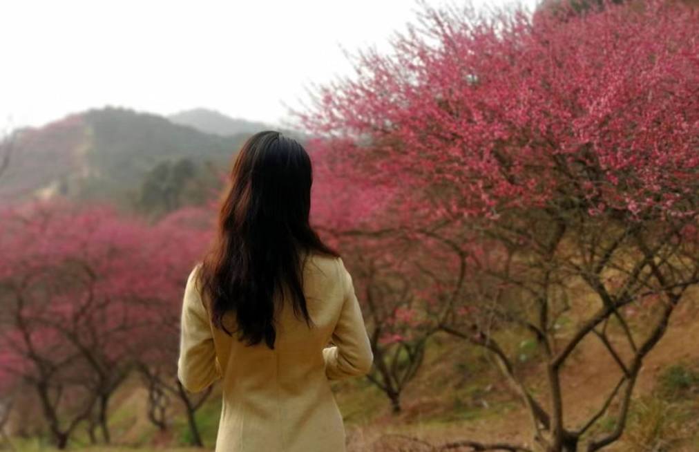 原创 宁波网红赏梅地，美景被垃圾攻陷，文明让风景更美好10