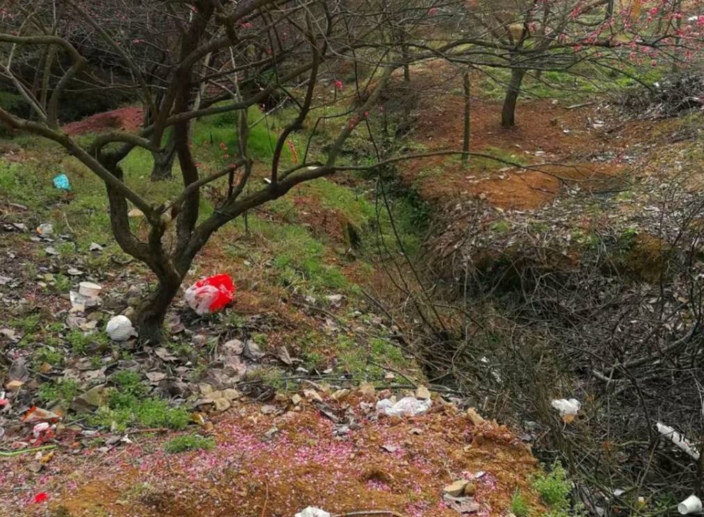 原创 宁波网红赏梅地，美景被垃圾攻陷，文明让风景更美好12