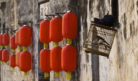 原创 安徽这个村子很特别，5A级景区加世界遗产，美如一幅烟雨画1