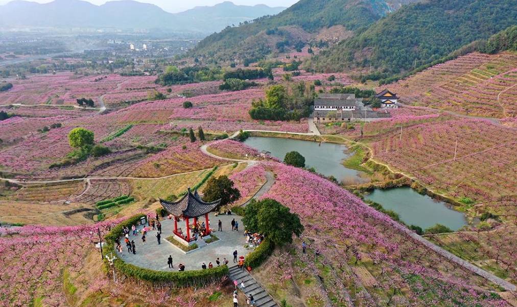 原创 宁波网红赏梅地，美景被垃圾攻陷，文明让风景更美好16