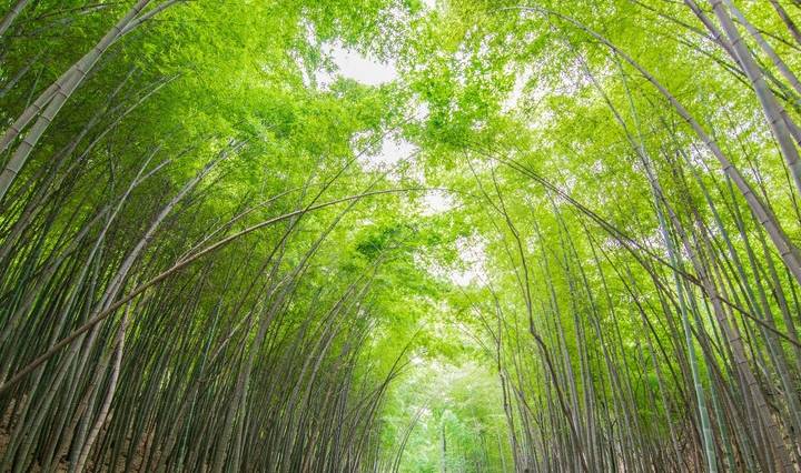 原创 “山不在高”：苏州最高山峰海拔341.7米，清帝乾隆六次亲临4