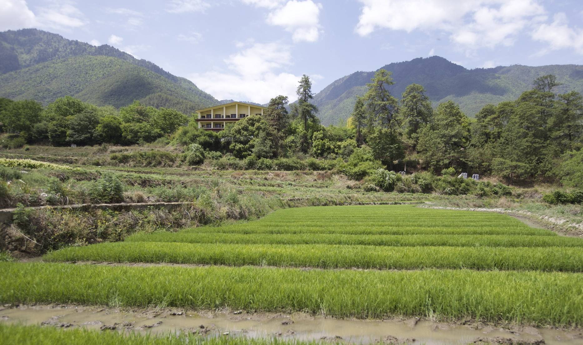 原创 滇西旅行可以不去丽江，但一定试试松赞塔城，田园诗一般的存在1