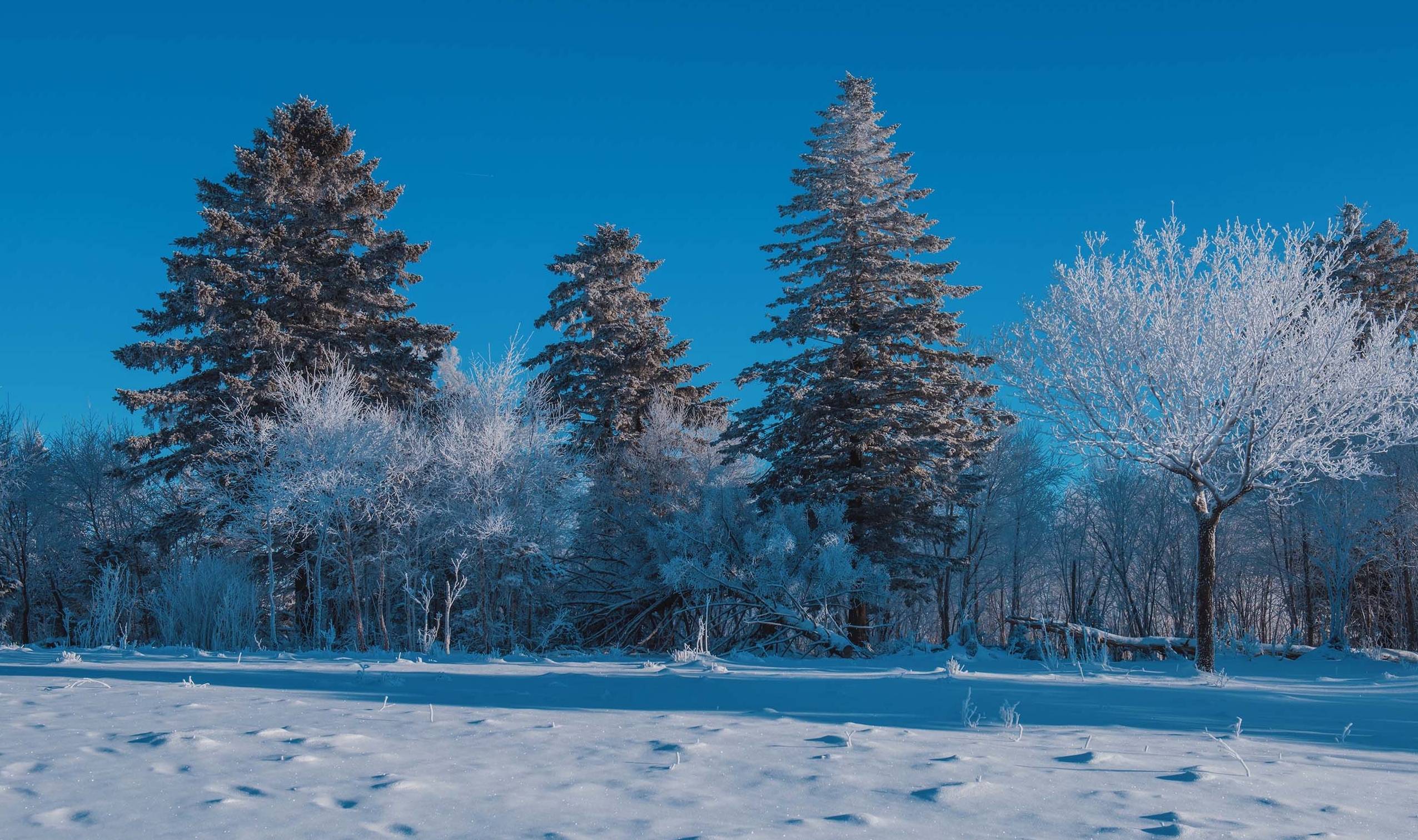 原创 睡大炕盖花被，原汁原味的东北风情民宿走红吉林，你喜欢吗？2