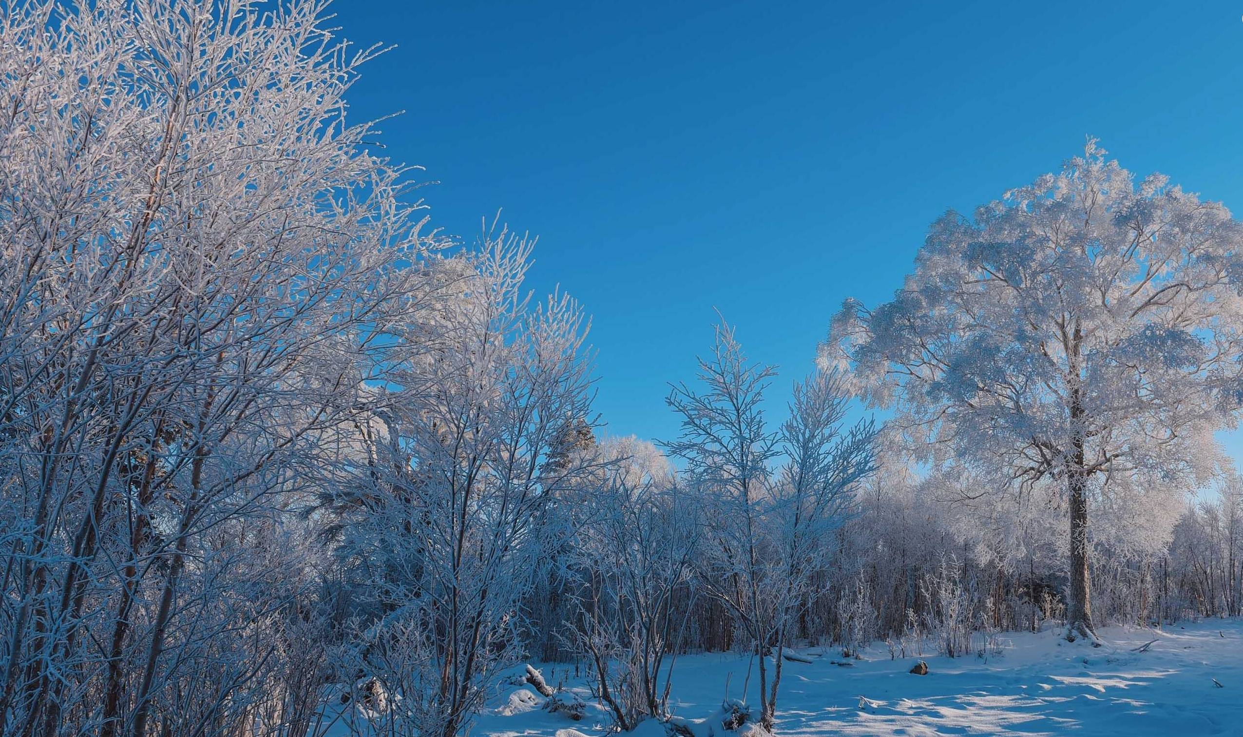 原创 吉林滑雪巨好玩,这个雪场雪道好雪质佳,滑雪体验不比瑞士差10