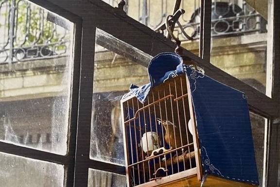 原创 “老克勒”和潮人都爱逛!这条1公里出头的街,一下午都逛不完13