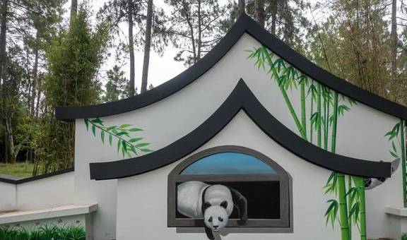 原创 浙江周边游：安吉竹博园，夜游竹林秘境你一定没体验过1