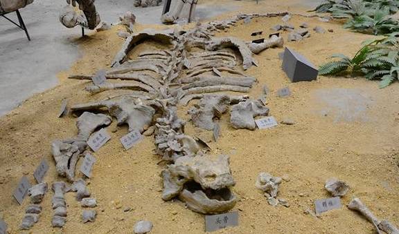 原创 盘点石家庄四处小众景点，玩好看好还涨知识，看看你都去过吗？4