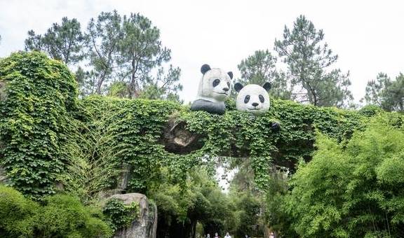 原创 浙江周边游：安吉竹博园，夜游竹林秘境你一定没体验过5