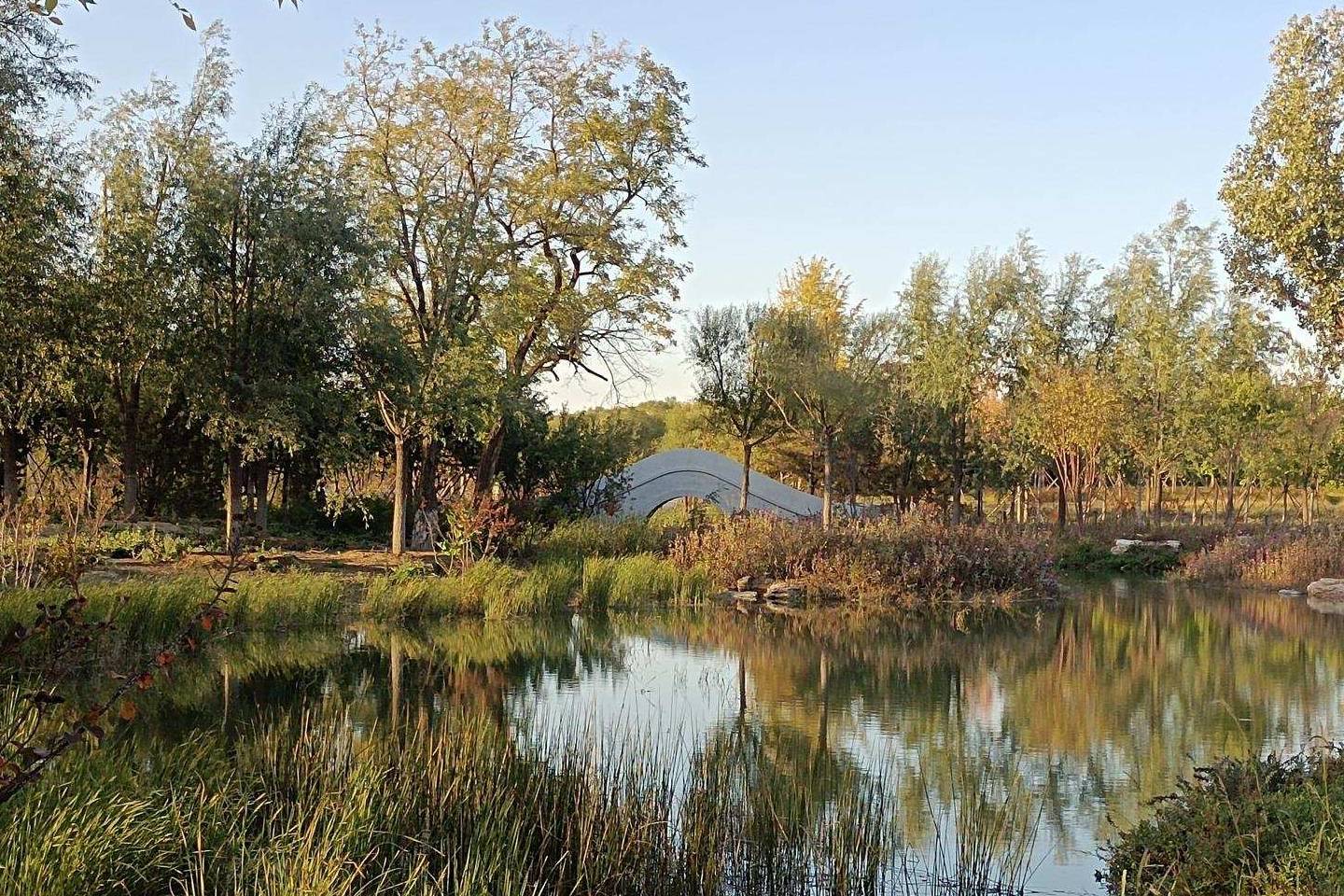 原创 温榆河公园示范区东园，园内的金色光芒撒在大地上4