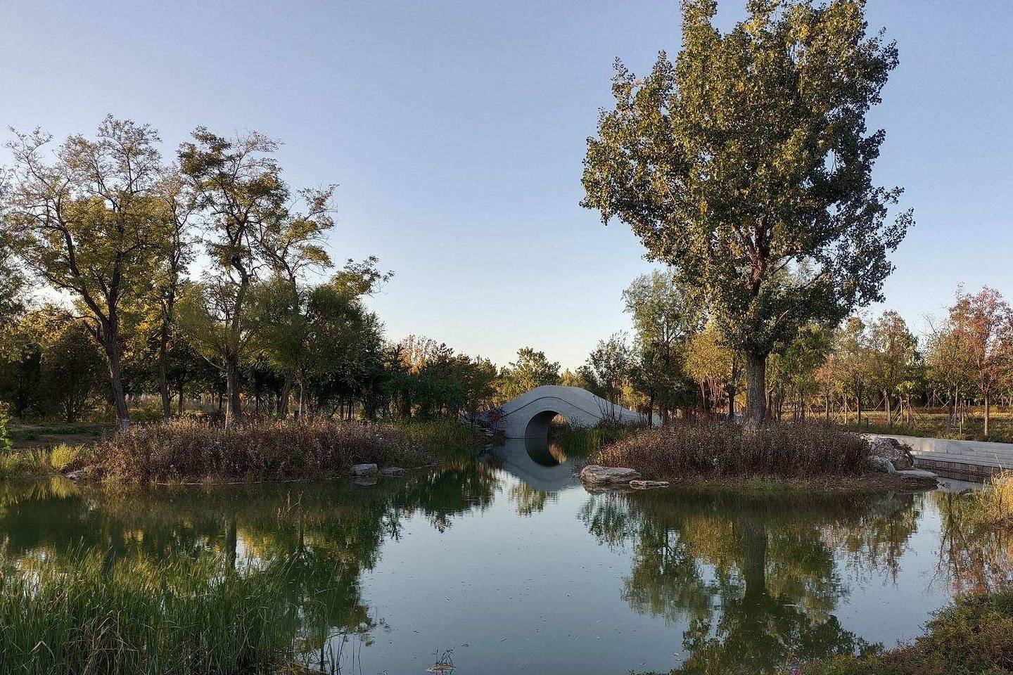 原创 温榆河公园示范区东园，园内的金色光芒撒在大地上5