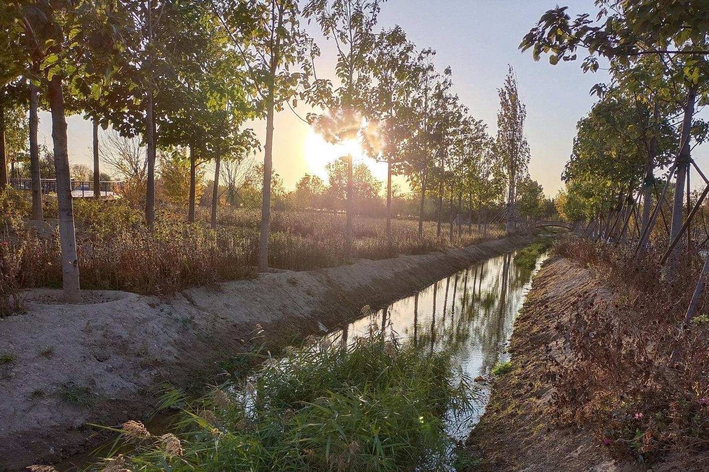 原创 温榆河公园示范区东园，园内的金色光芒撒在大地上9