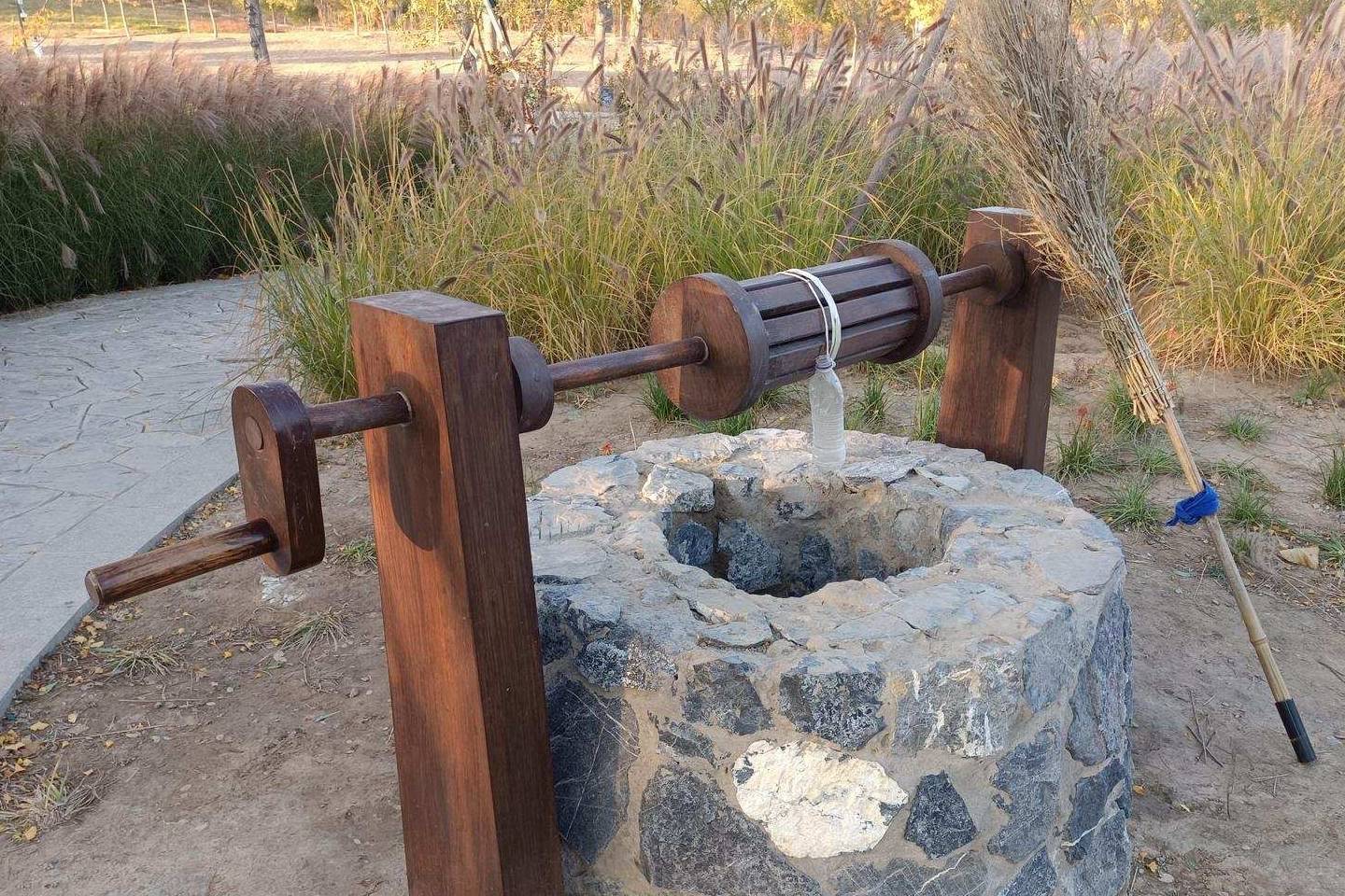 原创 温榆河公园示范区东园，园内的金色光芒撒在大地上11