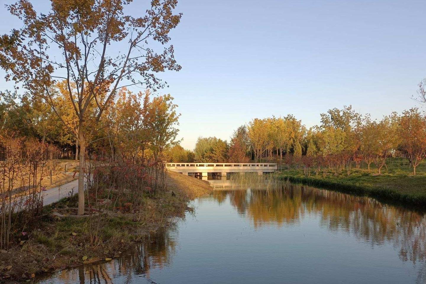 原创 温榆河公园示范区东园，园内的金色光芒撒在大地上12