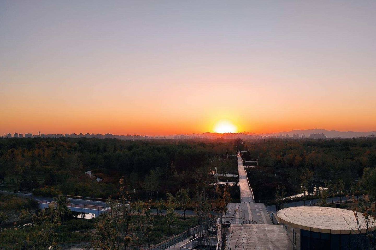 原创 温榆河公园示范区东园，园内的金色光芒撒在大地上14