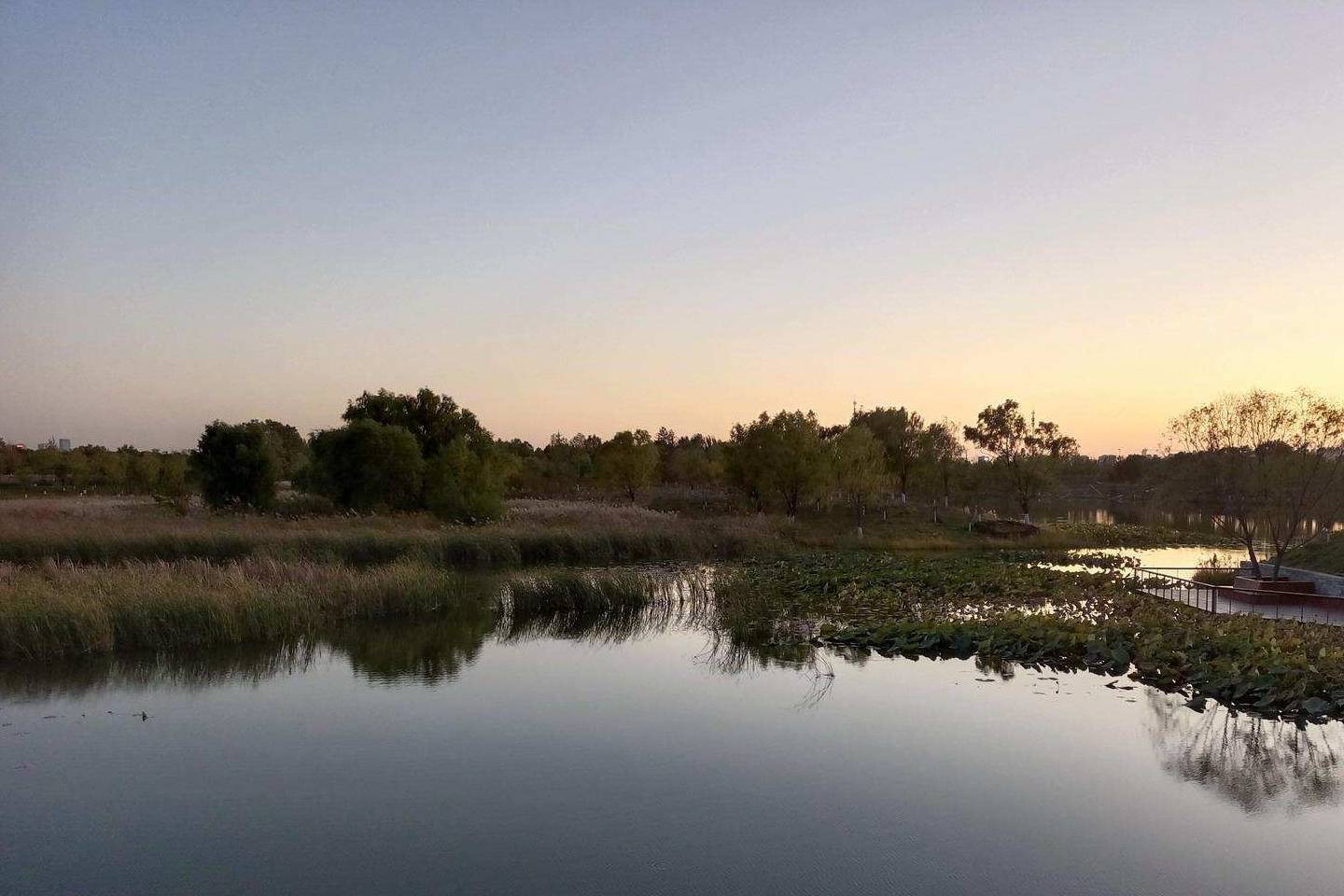 原创 温榆河公园示范区东园，园内的金色光芒撒在大地上16