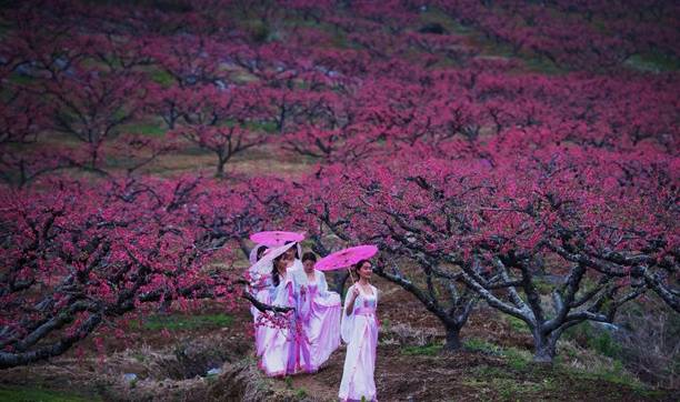 菲律宾疫情已呈现“低风险态势”为菲律宾开放做准备1