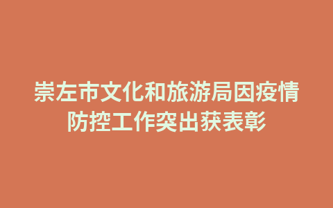 崇左市文化和旅游局因疫情防控工作突出获表彰1