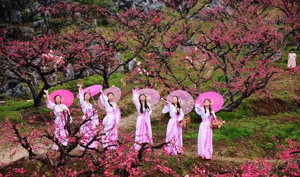原创 连州构建水陆空洞四重桃花景观，建成广东最大的桃花观赏城市5