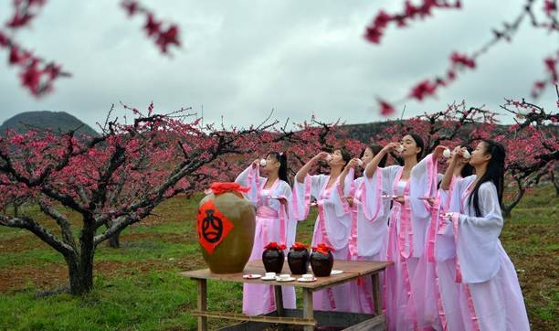 原创 连州构建水陆空洞四重桃花景观，建成广东最大的桃花观赏城市6