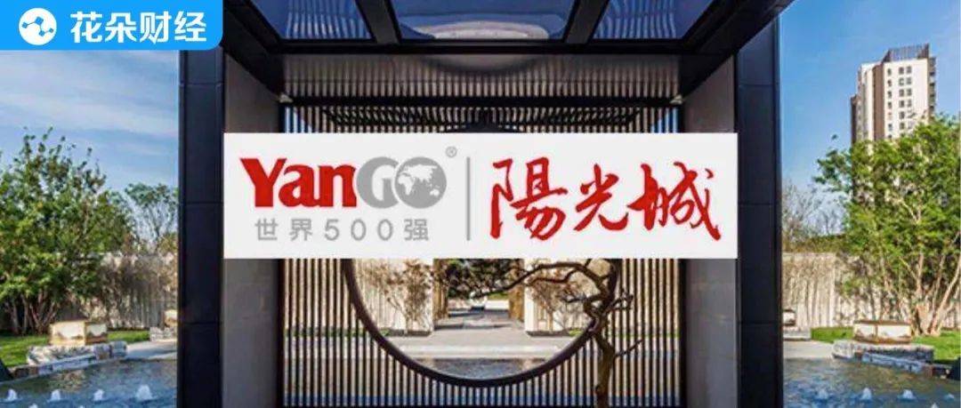 阳光城:增选何宏、吴建斌、林晓虎为公司董事2