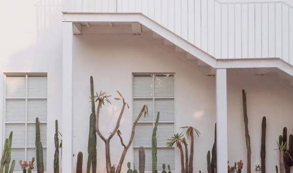 原创 广州必打卡拍照好地方,拍足一天没问题10